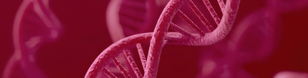 Understanding the CBS Gene Mutation: Symptoms and Nutritional Recommendations | EvoDNA