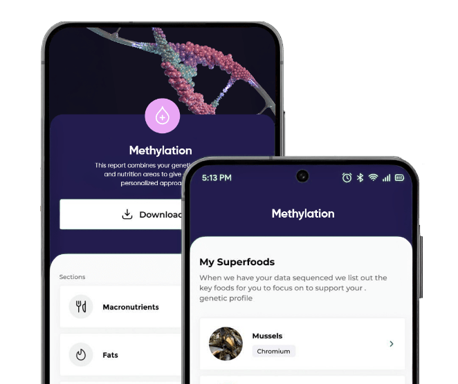 EvoDNA app screens showing DNA methylation insights and action steps